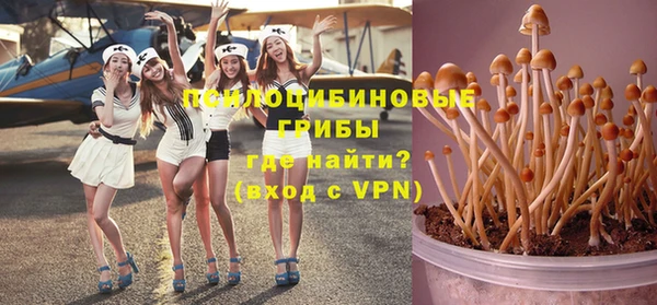 трава Пестово