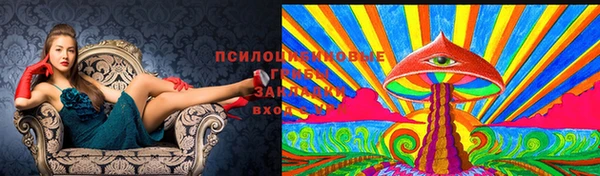 первитин Покровск