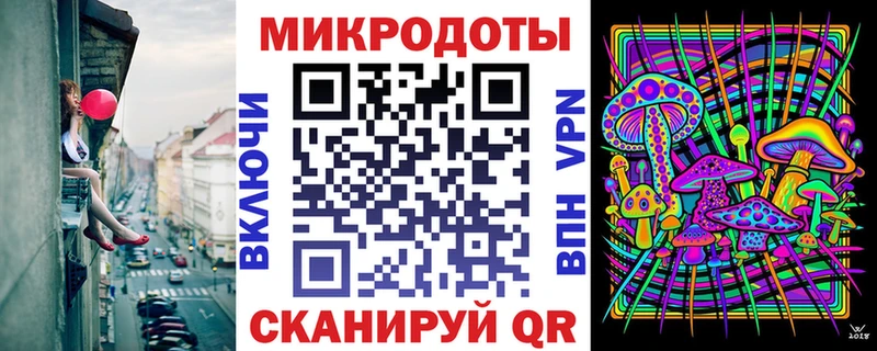 Псилоцибиновые грибы Psilocybine cubensis Новое Девяткино